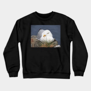 Resting Crewneck Sweatshirt